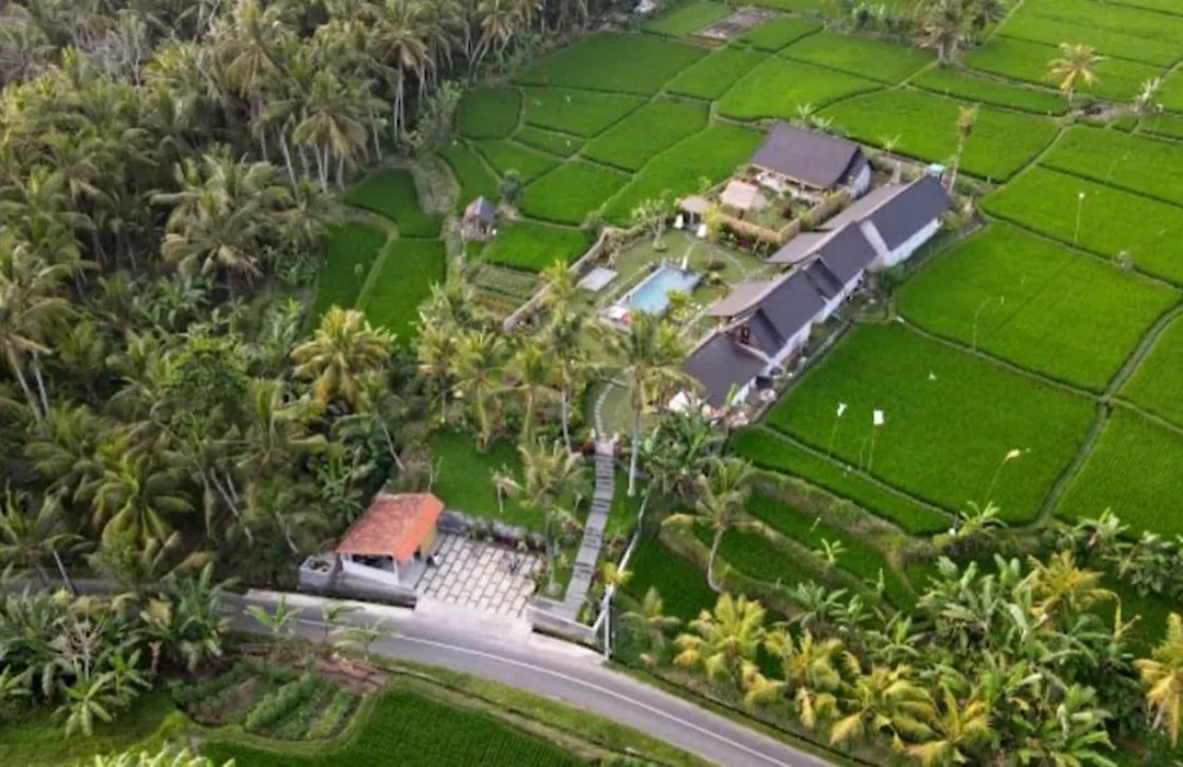 Green Coconut Cottage-1