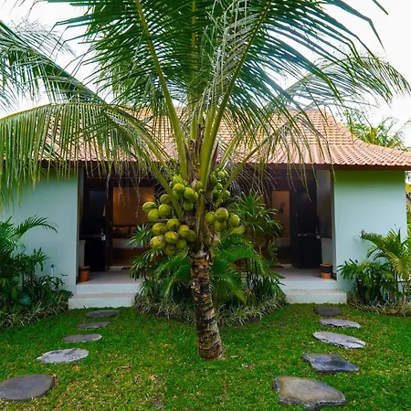 Green Coconut Cottage-3